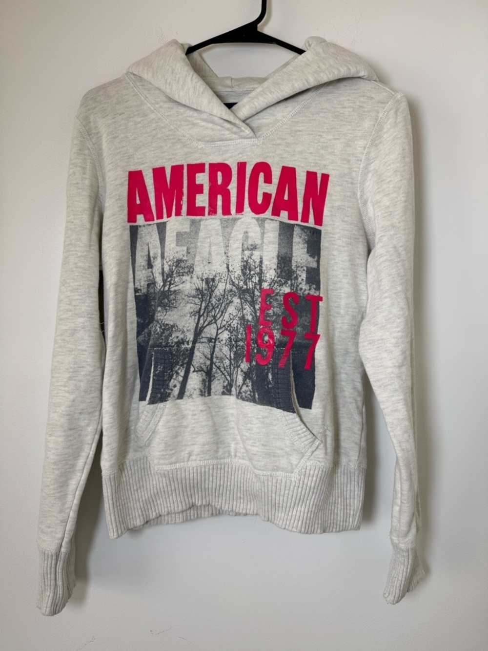 American Eagle Hoodie Womens Graphic Pullover Y2K Neutral Cozy Sweatshirt